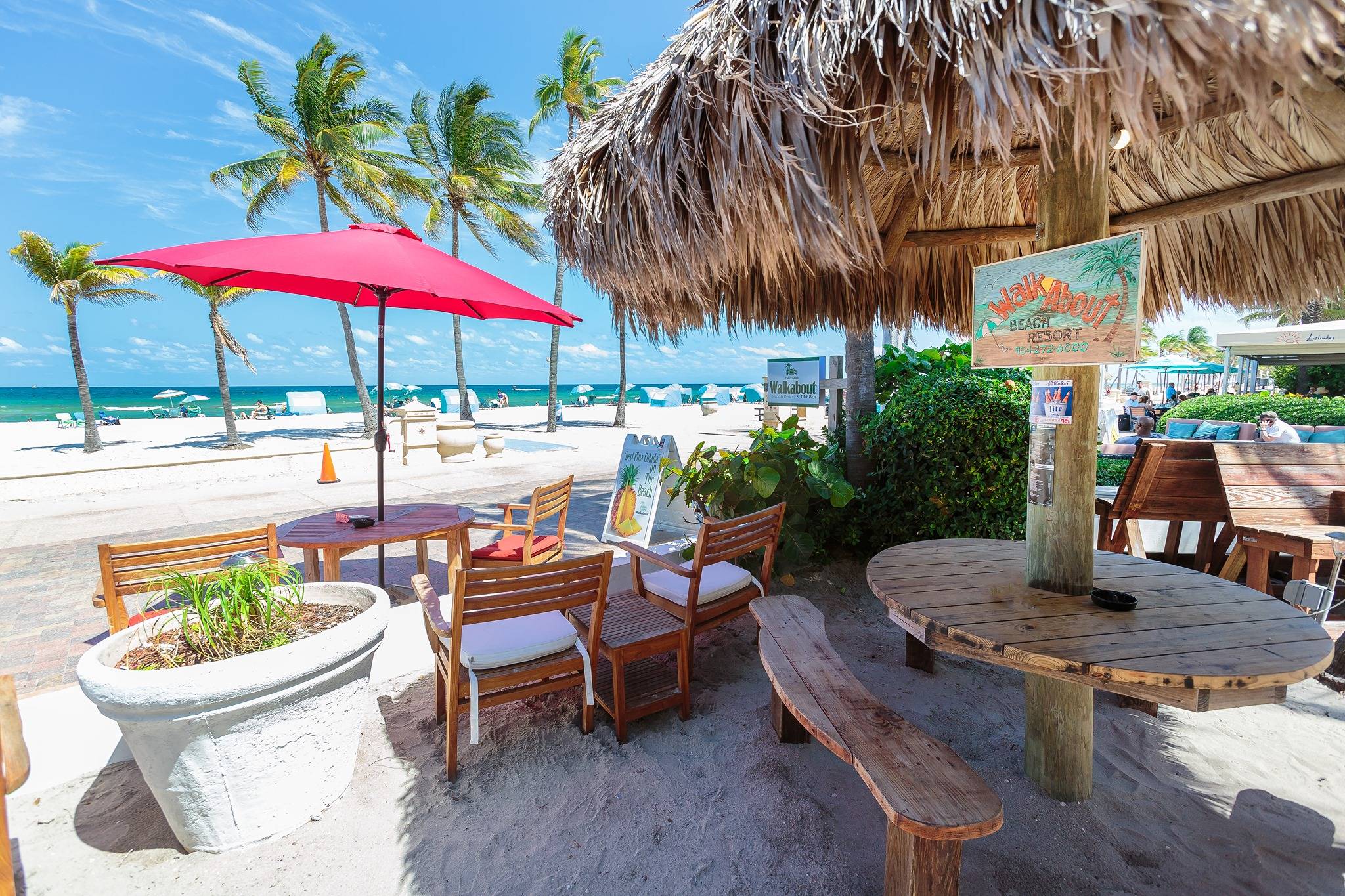 Dave Roppolo Music At Walkabout Tiki Bar Hollywood TAP (Trends and