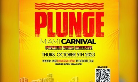 “Plunge” Premium Drinks Carnival
